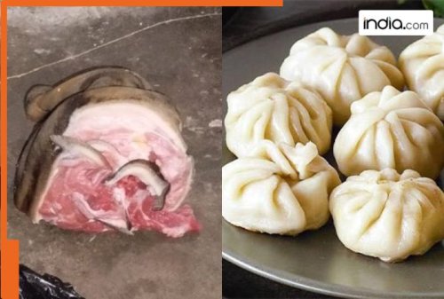 Dog’s severed head found in fridge of Momo and spring roll factory in…, was supplying over a quintal every day across…