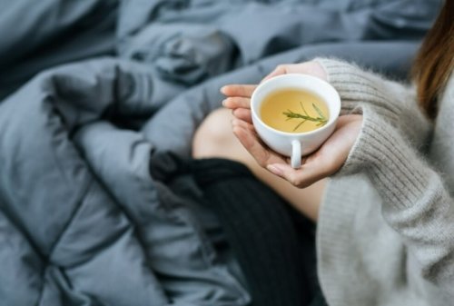 Herbal Tea For Sleep: 6 Effective Hot Beverages to Take Before Bedtime