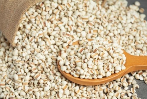 Sorghum Millet Health Benefits: 5 Reasons Why ‘The King of Millets’ is a Great Alternative to Wheat