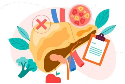 Fatty Liver Rise in India: 7 Common Causes That Go Unnoticed But Lead to Fat-Build Up