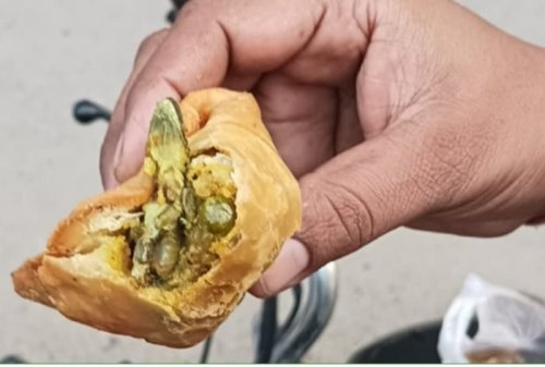 ‘Food From Hell’: Hapur Man, Daughter Fall Sick After Dead Lizard Found In Samosa | WATCH