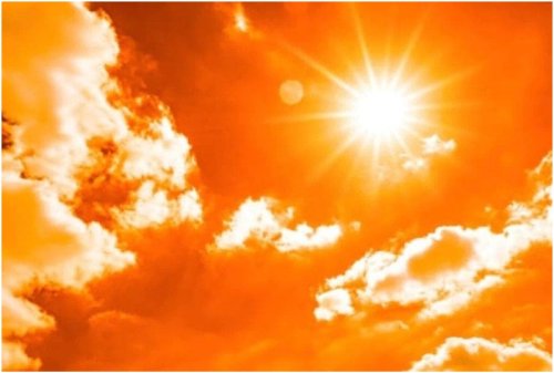 Weather Update: Heatwave Alert On These States; Rainfall Also Expected | Check Forecast Here