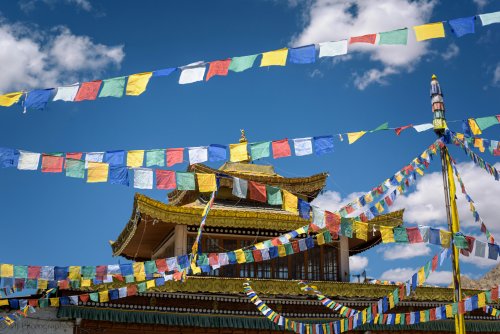 Must-Know Facts Before Setting Off To Leh Ladakh - Check Now