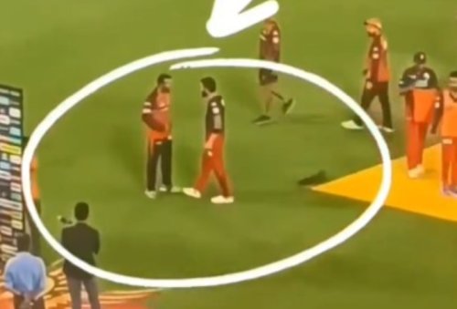Fact Check: Virat Kohli Engages In Verbal Spat After RCB’s Loss Against Sunrisers Hyderabad