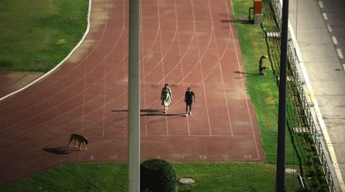 Stadium is emptied, athletes told to leave so that IAS officer can walk with dog