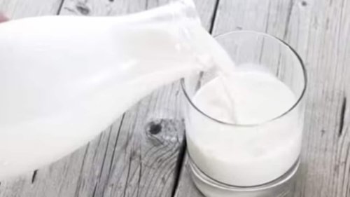 Is plant milk good for gut health compared to cow milk? Here’s the science behind your bloating