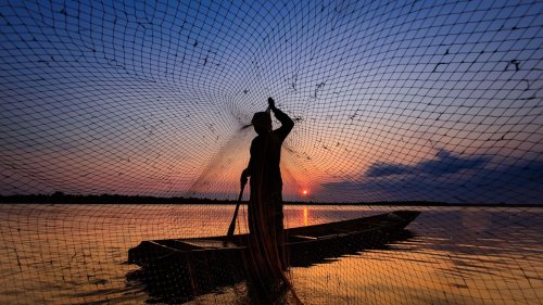 Maharashtra cabinet nod to give agriculture status to fisheries