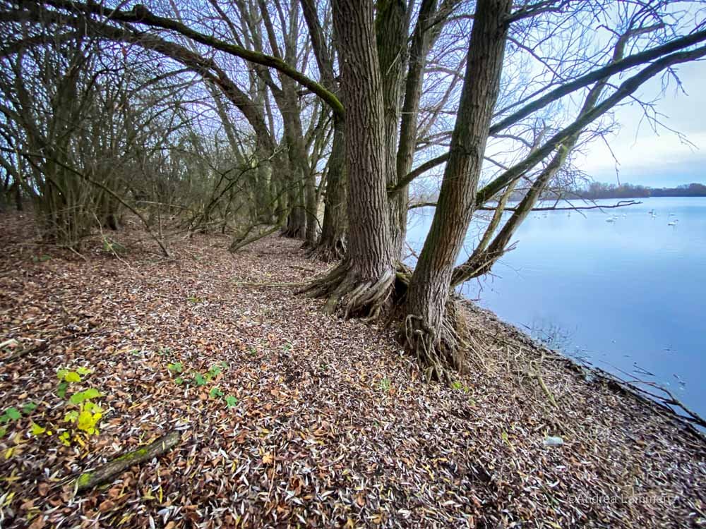Mikroabenteuer Hannover