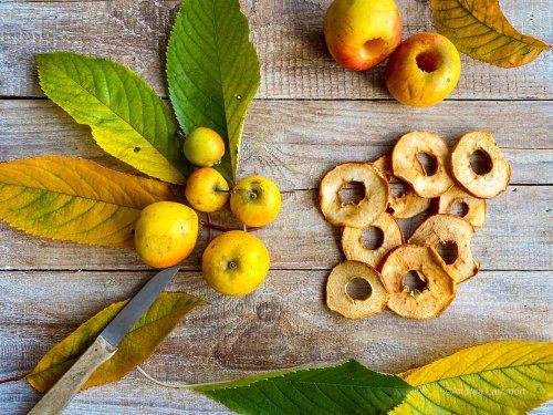 Apfelchips selber machen - indigoblau- Reiseblog nachhaltig