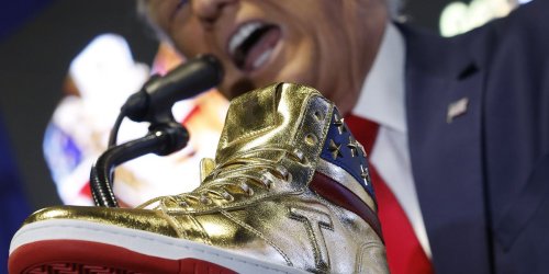 Donald Trump's trainers may land him in serious legal trouble