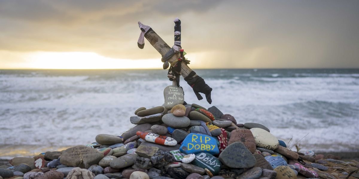 'Grow up': Pushback as Harry Potter fans forced sea cable to be relocated to avoid Dobby's ‘grave’