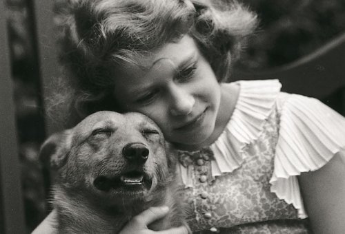 The Queen’s dogs: How many corgis Elizabeth II has now and her lifelong love of the breed explained