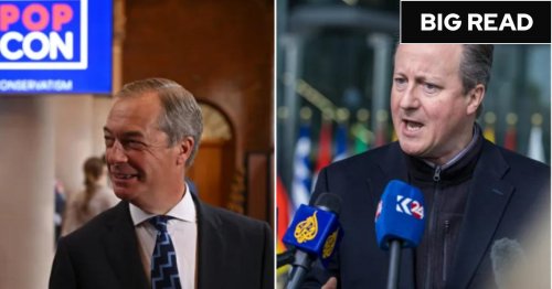 Brexit rivals Cameron and Farage outshine Sunak and expose Tory party splits