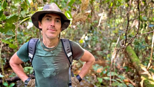 What to watch on TV this weekend: Simon Reeves traverses the Congo Rainforest