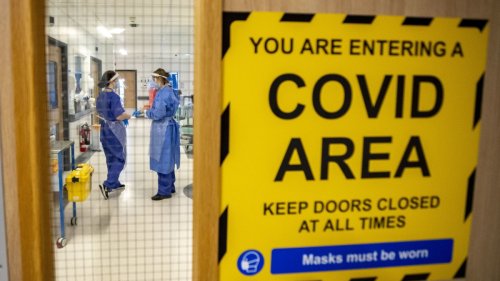 Covid can cause long-term abnormalities to multiple organs, study finds