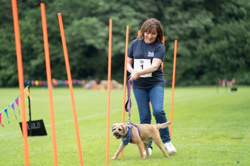 Lorraine Kelly: We need better dog theft rules, the police treat it like you’ve lost your phone