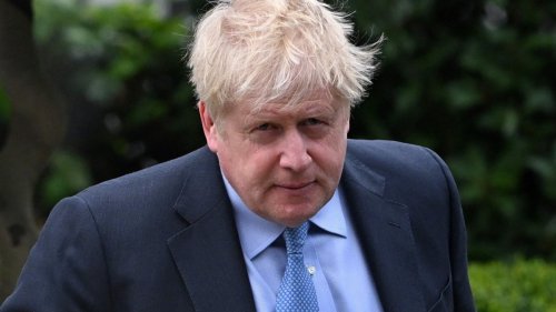 Boris Johnson will look like a ‘pound shop Nigel Farage’ for voting against Brexit deal, says Steve Baker