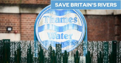 Taxpayer faces Thames Water bailout as boss warns of 40% bill rise