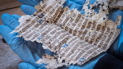 Medieval treasure haul discovered under floorboards at Norfolk Tudor manor