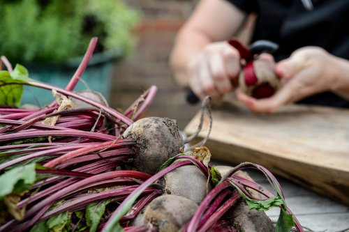 More than two-fifths of households with gardens start growing their own fruit and veg amid rising food costs