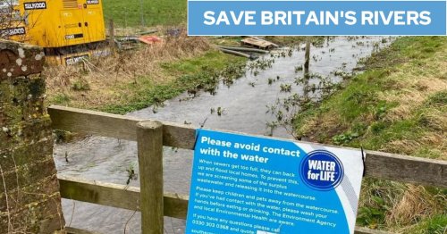 Chichester river pumped with 273 days of non-stop waste