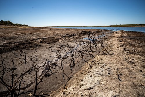 Drought in photos: 24 dramatic images from around Europe that show the impact of heatwaves and low rainfall