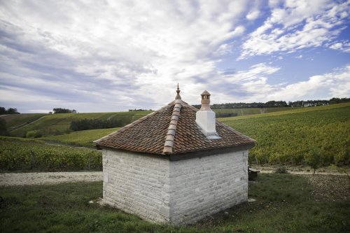 Travel to France is back this lesser-known part of Champagne is ideal for a quick visit