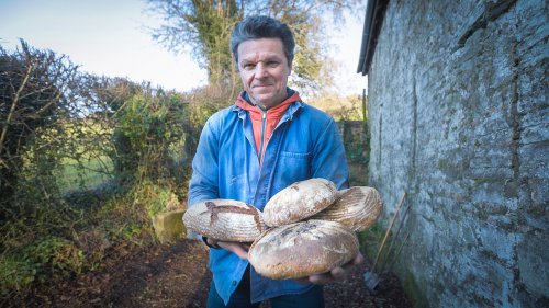 How I grew an acre of wheat, milled the flour and baked my own bread