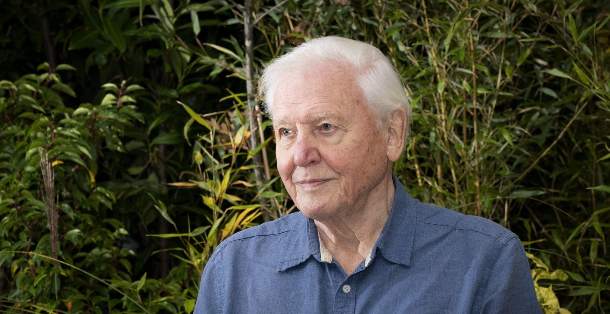 Sir David Attenborough to explore extinction of the dinosaurs in new BBC documentary Dinosaurs: The Final Day
