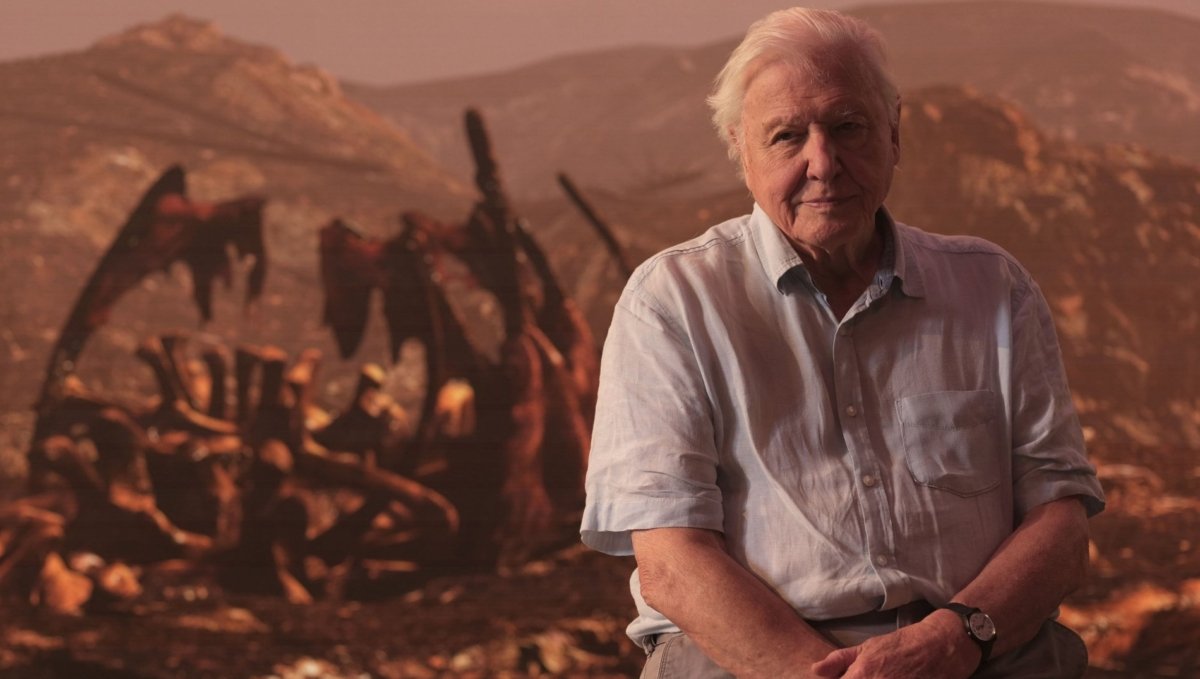 How 95-year-old Sir David Attenborough’s busy schedule keeps him young