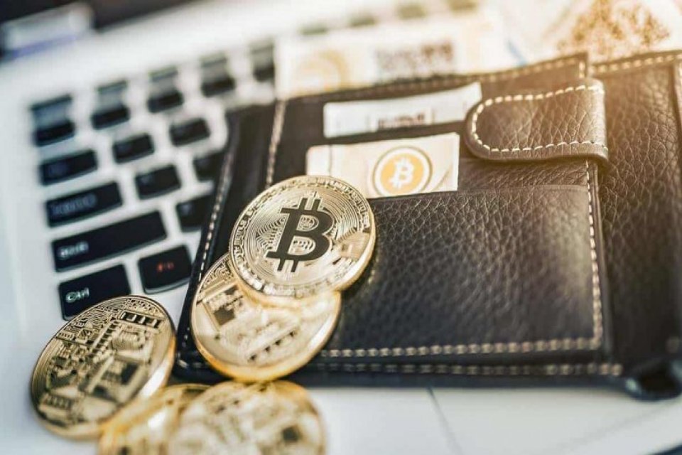 15 Best Crypto Wallets for Bitcoin and Altcoins - Influencive