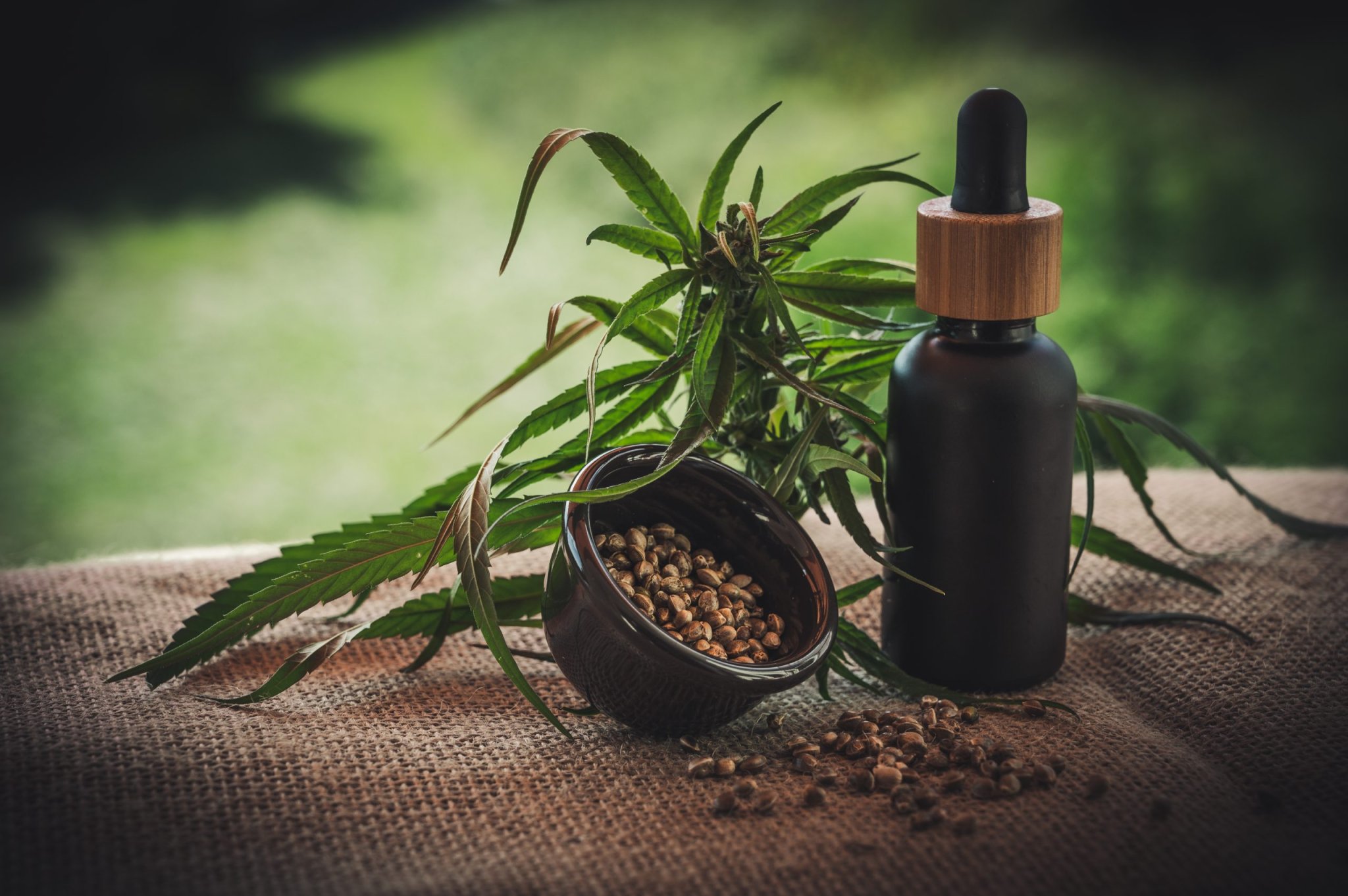 A Few Reasons How CBD can Improve your Health - Influencive