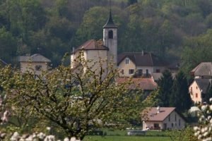 Municipales 2026 : Les maires ruraux exigent l’adoption d’un statut de l’élu