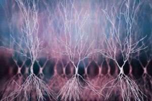 Alzheimer : la piste infectieuse