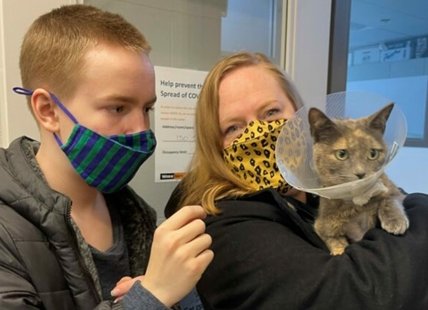 B.C. family's cat comes back after mysterious 100 km journey