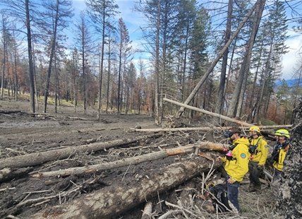 iN PHOTOS: Images from search and rescue efforts at Westside Road landslide