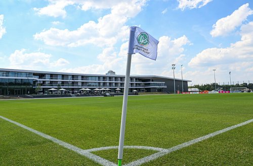 Woran lag es diesmal? Uni Würzburg forscht zu Deutschlands WM-Aus - und fragt die Fans