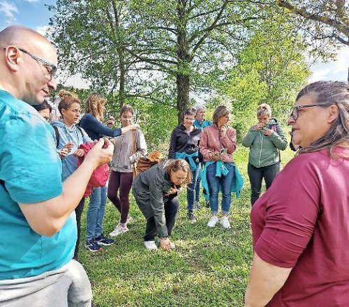 Kräuter am Wegesrand entdecken