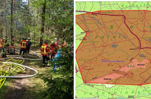 "Ernsthafte Gefahr": Behörde verhängt wegen Waldbrand strenge Maßnahme