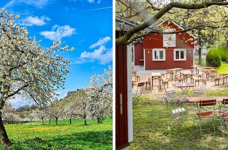 Kirschblüte, Bierwandern und mehr - unsere fränkischen Lieblings-Ausflugsziele im Frühling