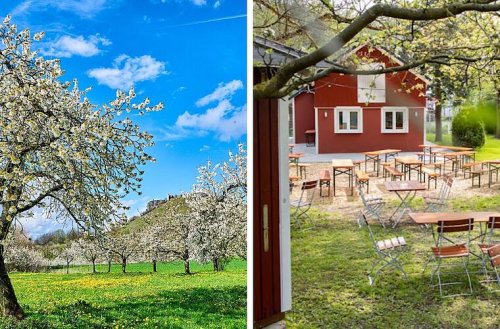 Kirschblüte, Bierwandern und mehr - unsere fränkischen Lieblings-Ausflugsziele im Frühling