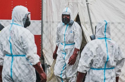 "Stille Pandemie": Tückisches Virus kann auch für Haustiere gefährlich werden