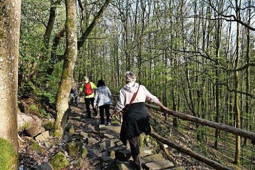 Naturschätze entdecken und Wildnis verstehen beim Kernzonentag in der Rhön