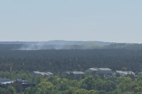 "Wirklich baff": Tierhilfe fassungslos über Verhalten in Waldbrand-Sperrgebiet