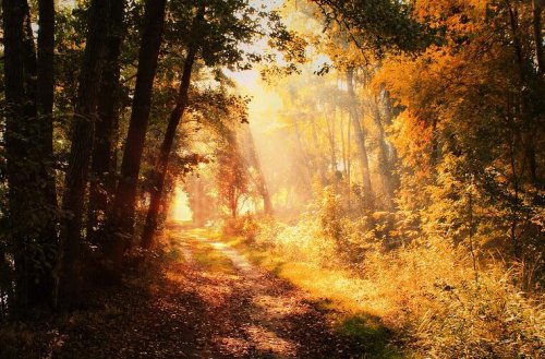 Wetter in Franken: So golden wird der Oktober in den nächsten Tagen