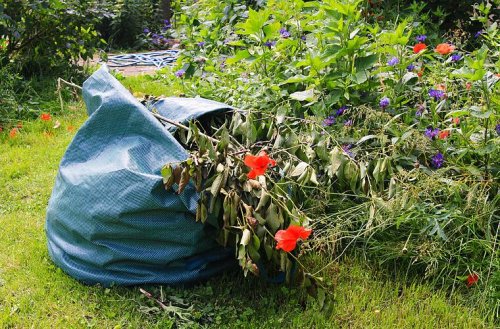 Dieser Tipp bringt bares Geld: Wie du Gartenarbeit von der Steuer absetzt