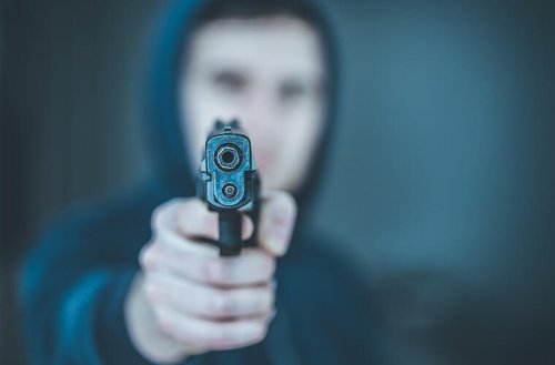 Festnahme: 28-Jähriger schießt auf Hund mit Schreckschusspistole