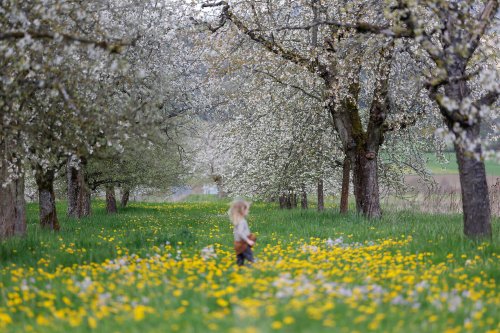 Frühling in Franken: Unsere Lieblings-Ausflugsziele für die ganze Familie