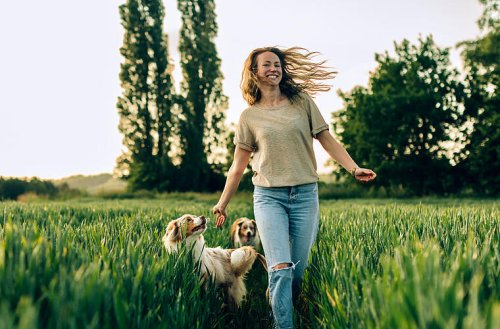 Im Urlaub richtig Geld sparen: So funktionieren Housesitting und Wohnungstausch