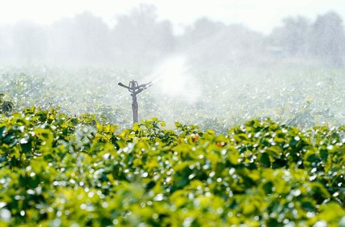 Dürren: Landwirte müssen vermehrt für Wasser zahlen